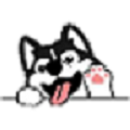 husky