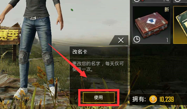刺激战场怎么改名
