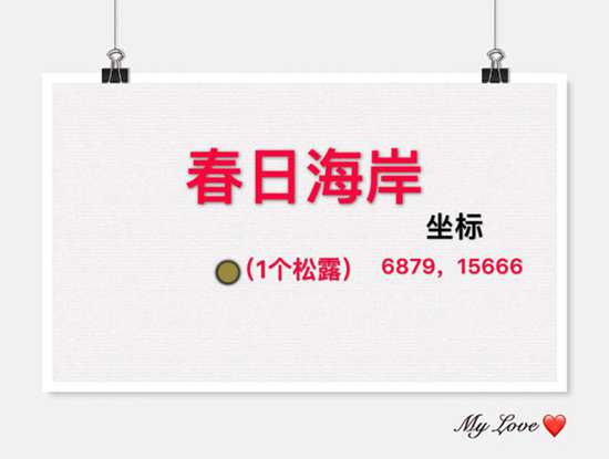 创造与魔法松露在哪里