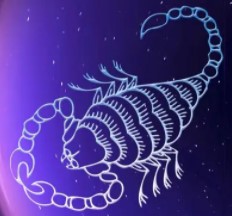 天蝎直播