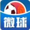 微球足球比分