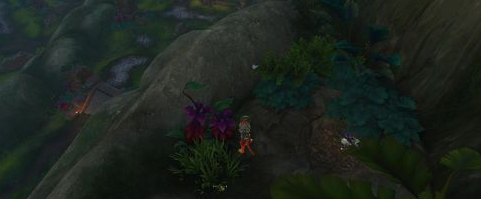 魔兽世界黑暗史学家在哪