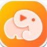 野象剧场app