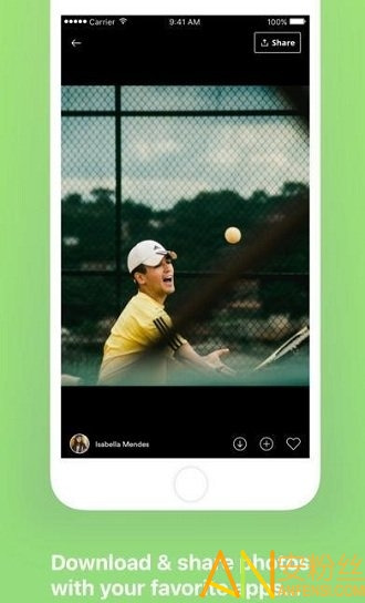 pexels pexels最新版下载