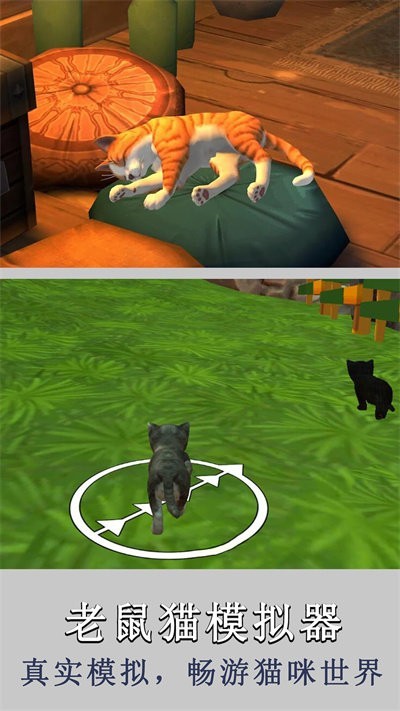 老鼠猫模拟器游戏 老鼠猫模拟器下载安装