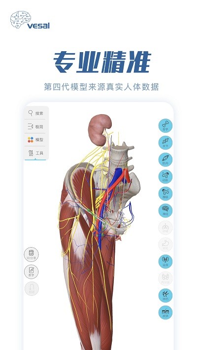 解剖大师app 解剖大师官方版下载