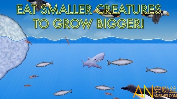 美味海洋鲨鱼版 美味海洋最新鲨鱼版下载