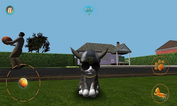 真实小猫3d模拟游戏下载