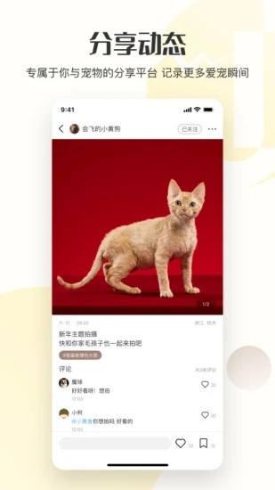 集宠区官方版 集宠区软件下载