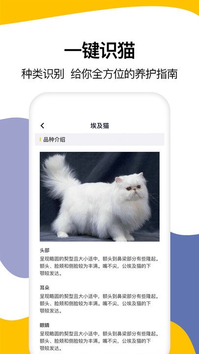 猫语翻译大全app 猫语翻译大全免费版下载