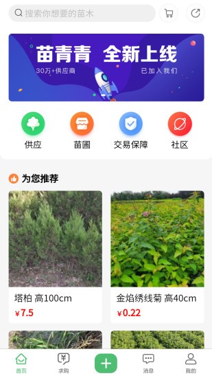 苗青青app 苗青青最新版下载