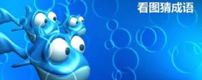 看图猜成语246810答案是什么