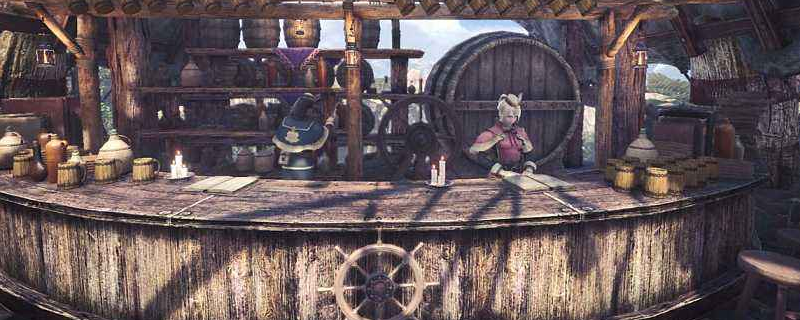 怪物猎人世界斗技大会位置介绍