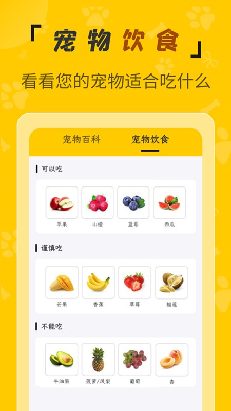 人猫翻译机软件 人猫翻译机免费版下载