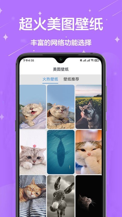 网络工具宝箱app 网络工具宝箱下载安装