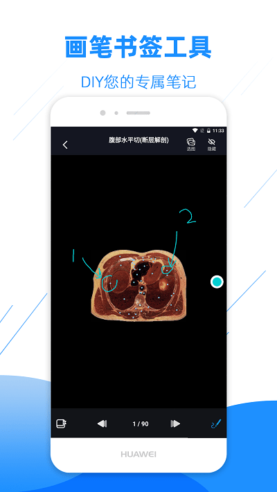 影像解剖图谱app 影像解剖图谱软件下载