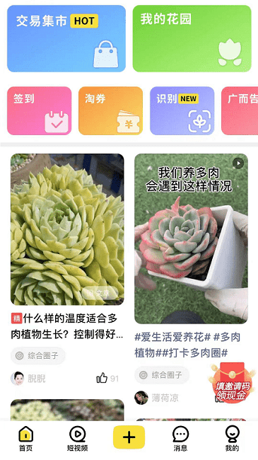 多肉圈最新版 多肉圈app下载