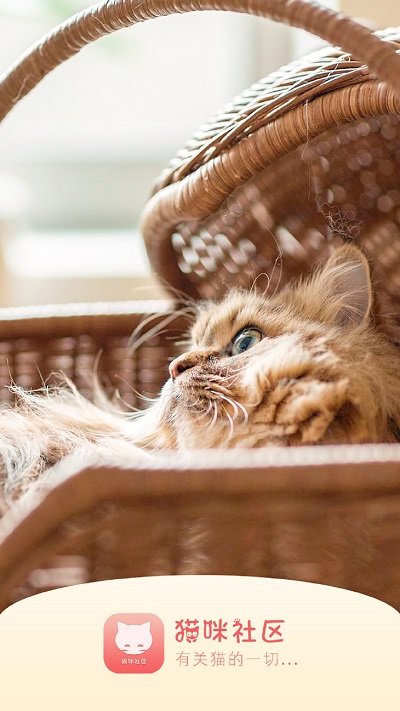 猫咪社区app会员破解版下载