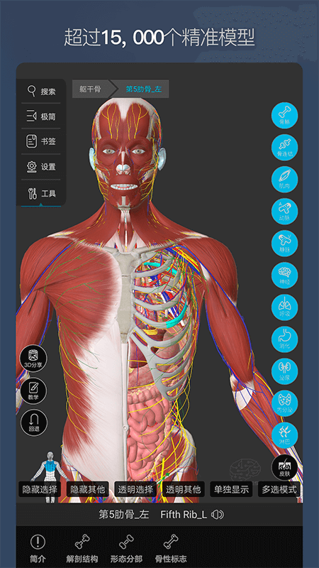 维萨里3d解剖全集终身免费版下载
