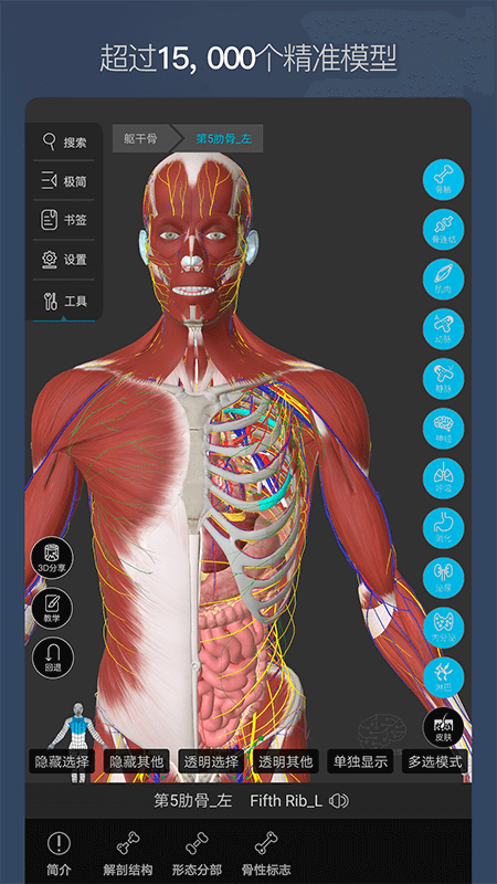 维萨里3d解剖app 维萨里3d解剖全集终身免费版下载