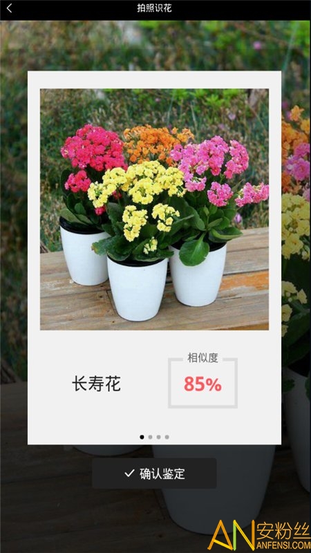 识花神器下载安装