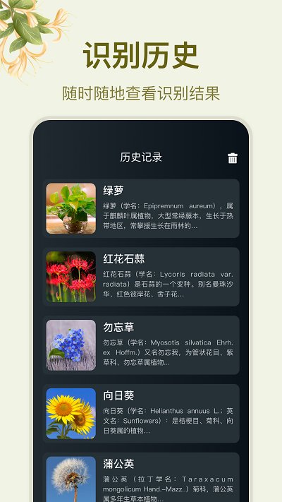 拍照识花大师app 拍照识花大师免费下载