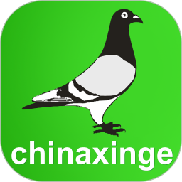 中国信鸽信息网官方版