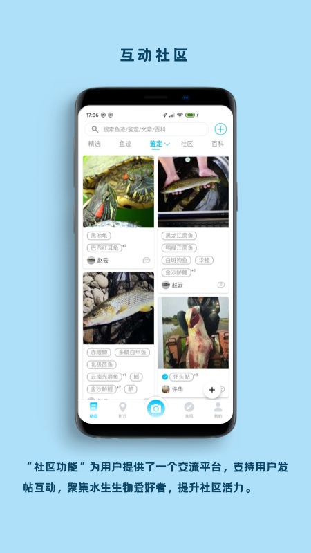 看鱼app 看鱼手机版下载