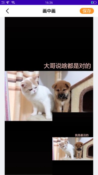 白兔视频最新版 白兔视频app下载