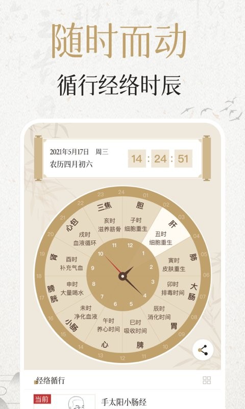 中济经络穴位手机版下载