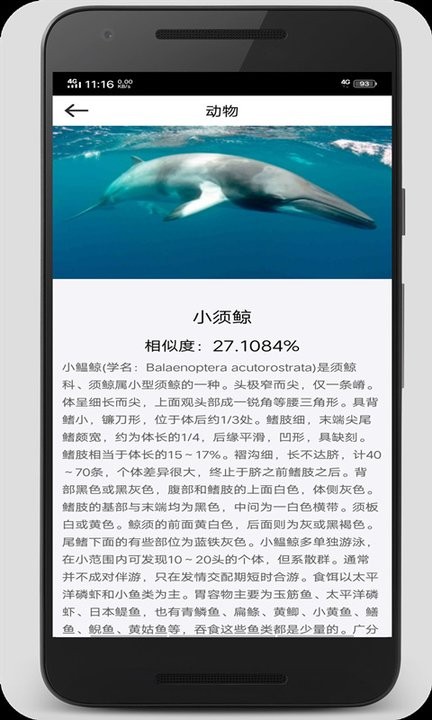 拍照识图君app 拍照识图君下载安装