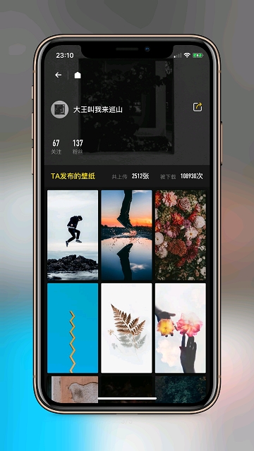 纸糖壁纸最新版下载