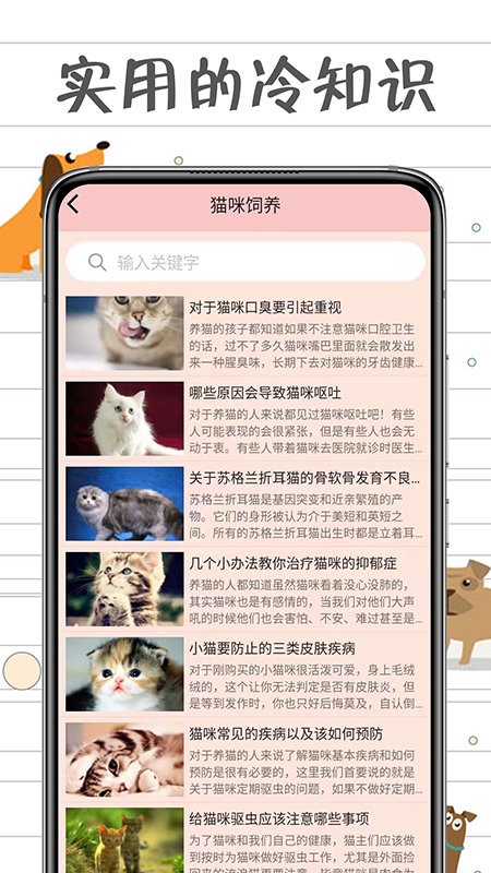 小猫交流器app 小猫交流器软件下载