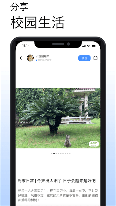 小圆贴官方介绍