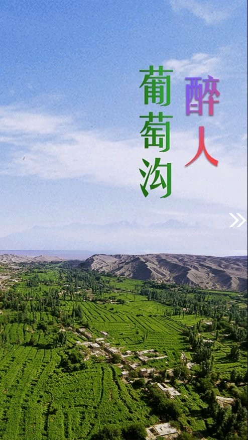 高昌好地方app 高昌好地方官方版下载
