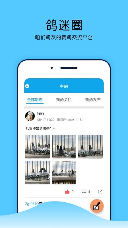 中鸽直播网赛事直播平台 中鸽直播网比赛直播软件下载