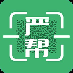 严帮app