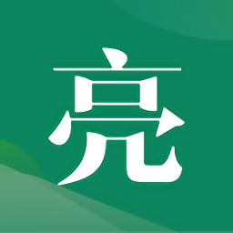 亮村手机版