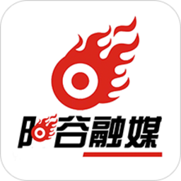 阳谷融媒app