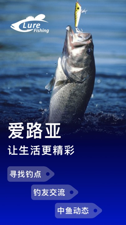 爱路亚官方版 爱路亚app