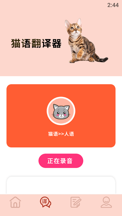 摸摸小猫app 摸摸小猫免费下载