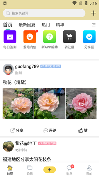 踏花行最新版 踏花行手机版
