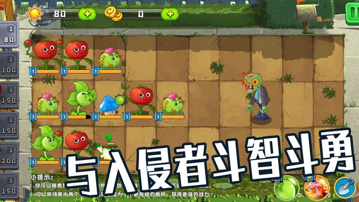 植物僵尸大作战游戏 植物僵尸大作战最新版下载