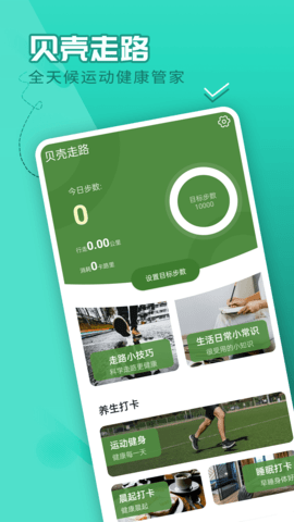 流动贝壳走路 1