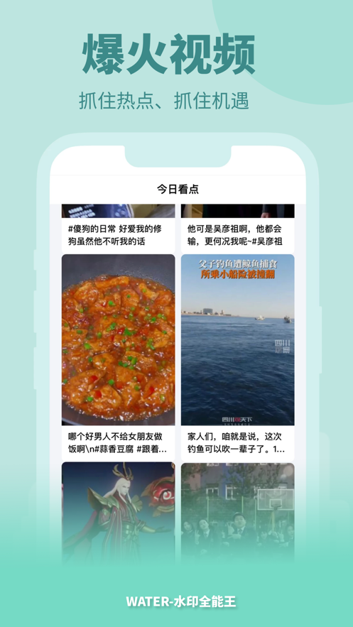 水印全能王 1