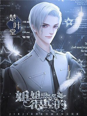 姐姐很忙的 1