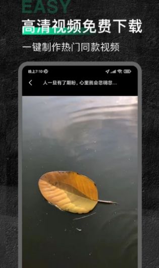 今日素材app 2