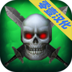 黑皮书