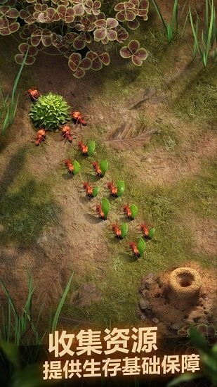 小小蚁国qq登录端 小小蚁国腾讯下载