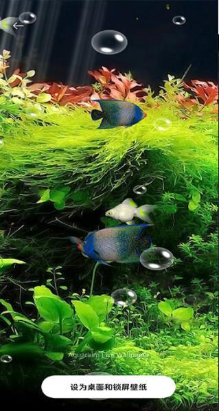 水族馆动态壁纸 2